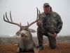 texasmuledeermgt01.jpg