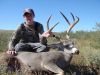 texasmuledeermgt02.jpg